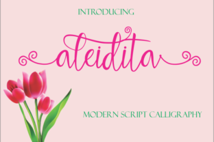 Aleidita: The Script Font That Elevates Brand Identity
