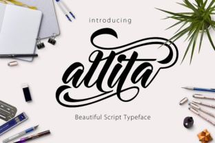 Allita Font Review: A Fluid Script for Modern Branding