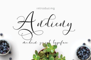 Andieny: A Modern Script Font for Handmade Makers