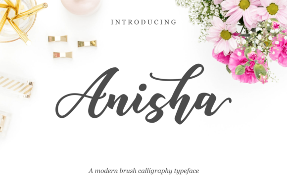 Anisha: A Modern Script Font for Crafters