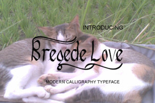 Bregede Love: A Script Font That Elevates Brand Identity