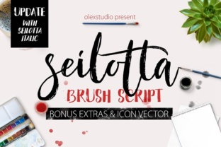 Seilotta: A Premium Script Font for Web Design