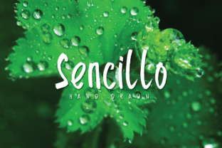 Sencillo Font: Hand-Drawn Clarity for Campaigns