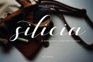 Silicia: A Fresh Script Font for Polished Branding
