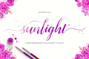 Sunlight Font: A Modern Script for Campaign Design